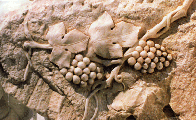 Greek Art - Mykonos Art Gallery, Greece